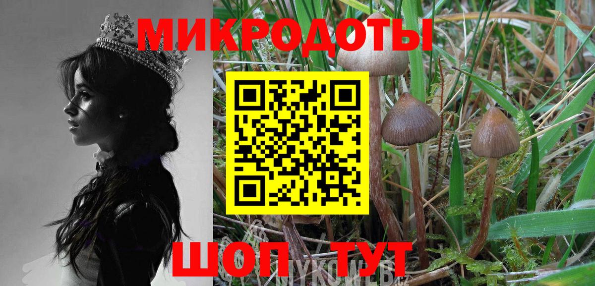 Псилоцибиновые грибы MAGIC MUSHROOMS  Галлюциногенные грибы мухоморы  где продают наркотики  Вход с VPN  Тавда 